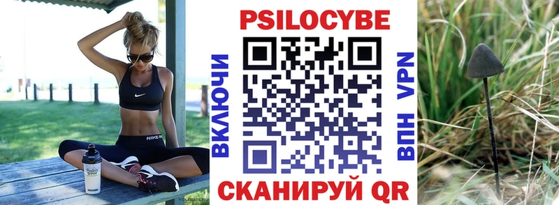 Галлюциногенные грибы Magic Shrooms Тутаев